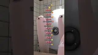 Псенько у яйко