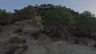 Chasse aux sangliers 🇹🇳 Tunisie, tir gros m&acirc;le en pleine course