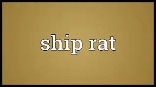 Ship rat Meaning