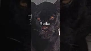 beyjan beatz - elite remix (slowed+bass+reveb)