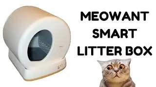 MEOWANT SMART LITTER BOX SETUP