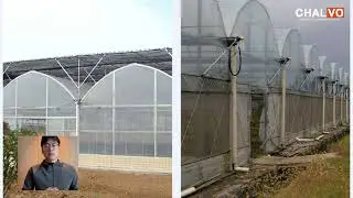Where to buy greenhouse plastic​?