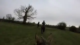 Readyfield Bloodhounds- Queniborough