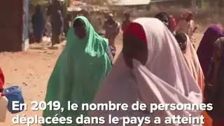 Les Crises humanitaires