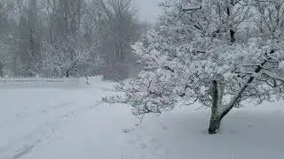 March Snowstorm!