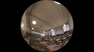 Omni-NERF