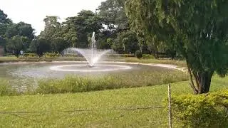 ভিক্টোরিয়া পার্ক Sohana tv palligram TV  viral short video trading Tik Tok video 2023