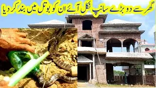 Ghar Se Saamp Nikal Aaye! | Big Snake Found in New House!
