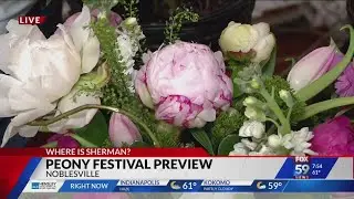 Where is Sherman? Peony Festival Preview