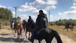 Конная прогулка по Лагани Калмыкия