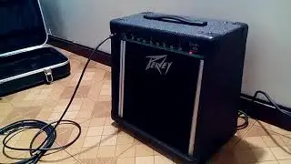 Amplificador De Guitarra Peavey Envoy 110 Made In U.s.a