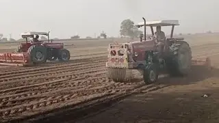 Aloo da kam end | Arsal Farm ArifWala
