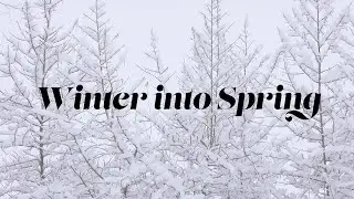 Winter into Spring | Worship Music Playlist