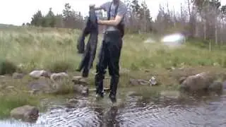mudding in a bog part 2