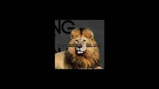 Bring 'em out, new single  i think 2025 James Harrell Music