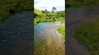 Absolutely beautiful #water #beauty #nature #love #shorts