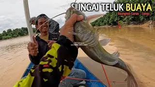 1 HARI MANCING BAUNG DI LUBUK BUAYA SEI KAHAYAN KALIMANTAN TENGAH 