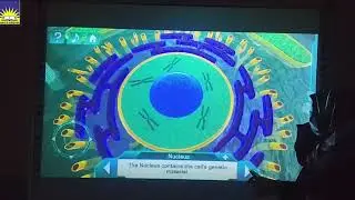 Cell and Cell Organelles| Winter Vacation's Work I Das Mailsi 
