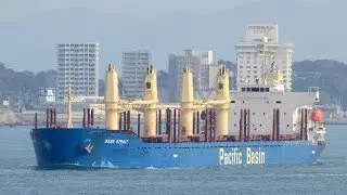 BASS STRAIT - Pacific Basin Shipping bulk carrier