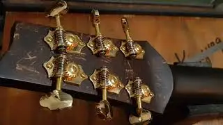 Alama Guitars Handmade in Dauin , Dumaguete Philippines.