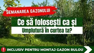 Ce să folosești ca umplutură &icirc;n curte? semintegazon.ro