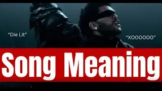 Timeless || Meaning of Song || The Weeknd ft Playboi Carti