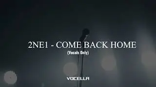 2NE1 - COME BACK HOME (Acapella/Vocals Only)