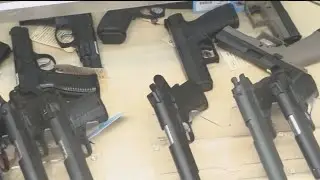 Senate panel OKs gun safety measures