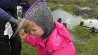 1310 Tur til R&aring;hede