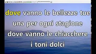 Amedeo Minghi - Mar&igrave;  (karaoke Devocalizzata)