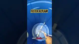 ini Bisa menjadi Solusi untuk kolam Tanpa filter, Filter Kolam terpal #filterkolam