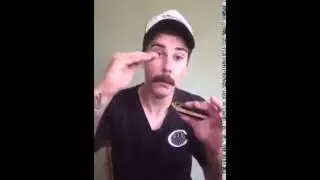 Tremolo vs Vibrato - Harmonica Lesson