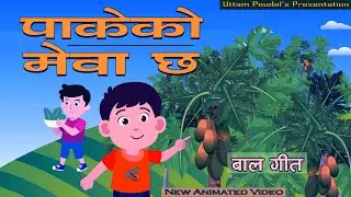 Pakeko Mewa Chha पाकेको मेवा छ • Popular Nepali Kids' Song • Uttam Poudel • Lhakpa Doma • Pritam Rai