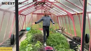 TM24#1 : 🍓 Aardbeibakken 🍓 opruimen en een rondje in de moestuin.