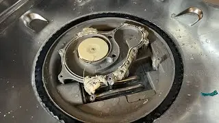 Clean Your Samsung Dishwasher!