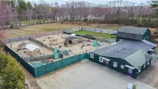 Virtual Tour of Pampered Pup LLC in Candia, NH