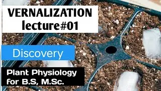 Vernalization Lecture#01 Introduction and Discovery