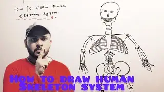 How to draw a human skeleton system मानव कंकाल प्रणाली की संरचना  (make of my video) Genius classes