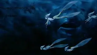 Blue Submarine No.6 - Requiem