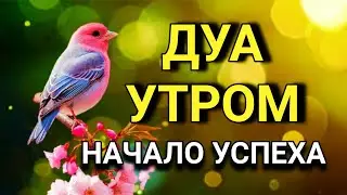 💖🌟 НАЧНИ ДЕНЬ С СИЛЬНОГО ДУА УТРОМ! 🔑💯🤲