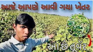 આજે આપણે આવી ગયા ખેતર… #trending #vairalvideo #gujarativlogs  #khetibadi 