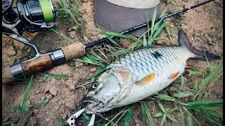 P&ecirc;che Aventure Tha&iuml;lande - UL Fishing - Hampala et Snakehead