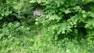 stećci