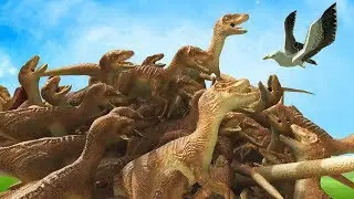 100 RAPTORS VS 1 SEAGULL - Beast Battle Simulator