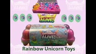 Unboxing Adventure: Hatchimals Alive Surprise Eggs Dozen Box!
