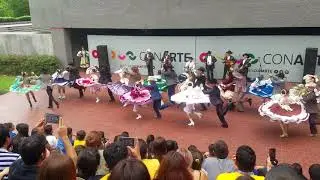 Campechana Ballet folkl&oacute;rico Rarajipame 30 aniversario  BAFOFIM