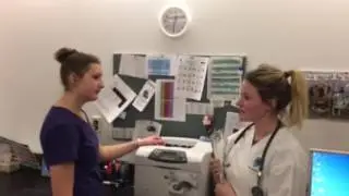 Conflict Within a Veterinary Clinic - IPAE Video Assignment 2