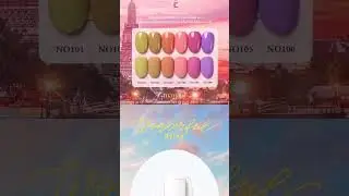 Mayour Wonderful Flying Collection Swatcing