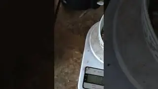 Проба каши швикого пр прииготування 