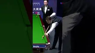 A BRILLIANT Spot from Peggy Li!